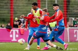 九游体育下载-拜仁慕尼黑2021